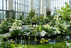奇跡の星の植物館「ホワイトガーデンショー2012」2
