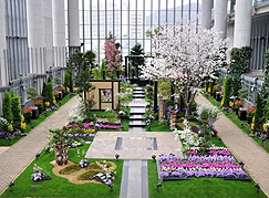 奇跡の星の植物館フラワーショー「春爛漫 花見の庭 2014」1