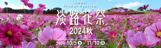 秋の花を愉しめる淡路島「淡路花祭2024秋」開催！